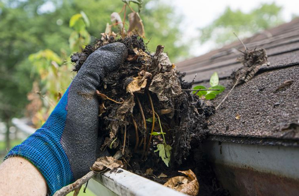 residential gutter cleaning